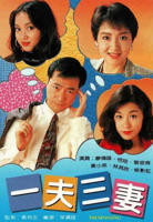 三妻四妾高清免费版电视剧