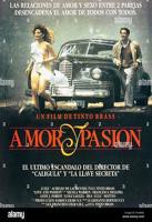 《爱与激情》高清在线观看免费完整版电影