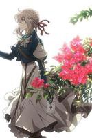 紫罗兰永恒花园免费观看完整版