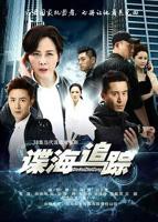 《谍海追踪》电视剧完整版资源免费在线观看_中国大陆剧