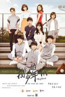 《我们的少年时代》电视剧全集在线观看_免费播放-