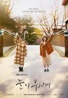 耀眼电视剧免费观看全集